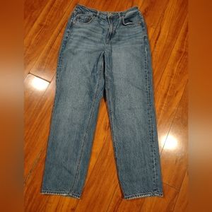 American Eagle mom jeans 29/8